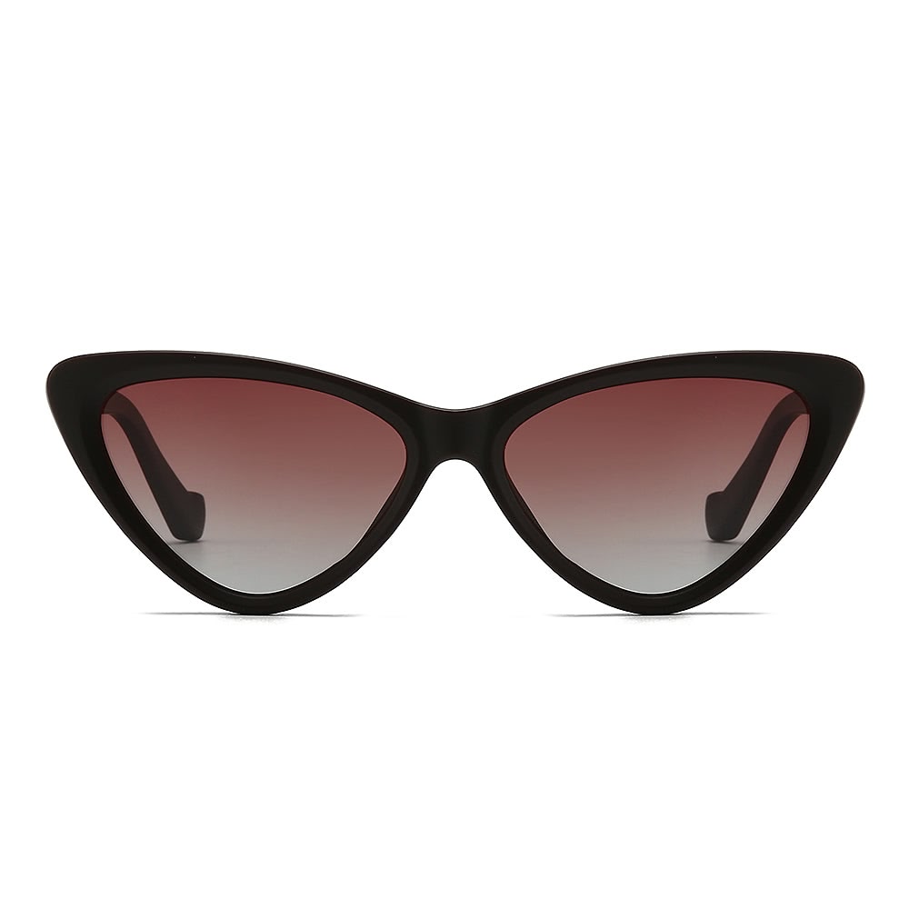 Dollger Acetate Cat-Eye Tinted Sunglasses