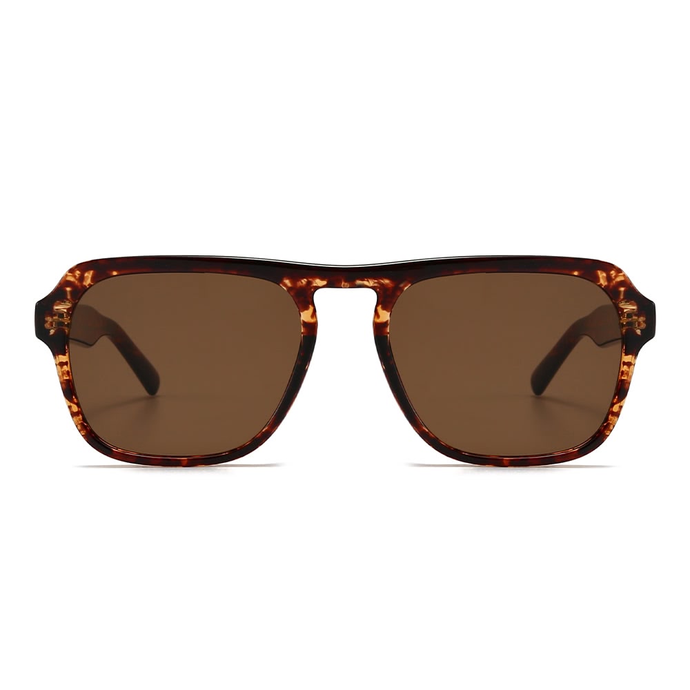 Dollger Acetate Aviator Tinted Sunglasses