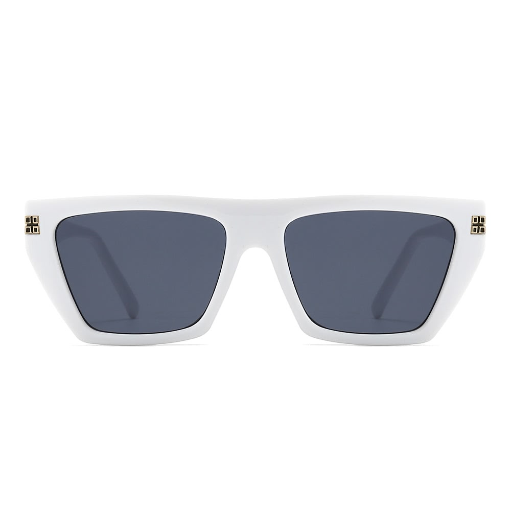 Dollger Thick Geek-Chic Geometric Tinted Sunglasses